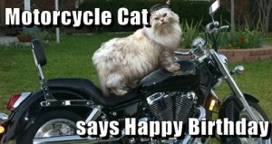 Happy Birthday Motorcycle cat: Happy Birthday, Motorcycles Cat ...