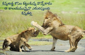 Posted by Sreekanth p