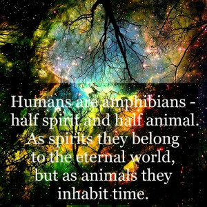 quotes humans life spirit universe