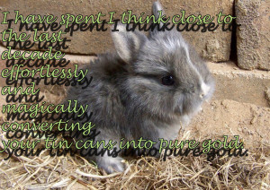 Charlie Sheen Quotes With Rabbits