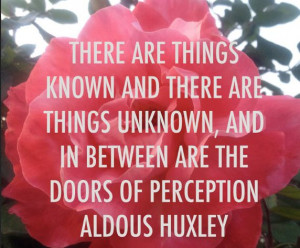 The Doors of Perception,