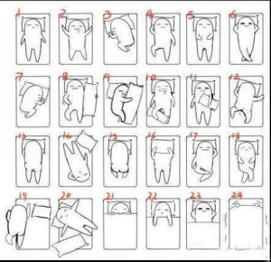 ... Pictures positions what sleeping position are you funny quotes