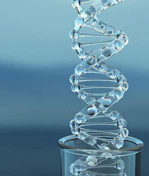 genetic testing downs syndrome