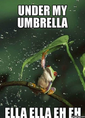 Funny – Umbrella - Funny Pictures, MEME and Funny GIF from GIFSec ...