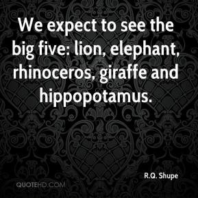 We expect to see the big five: lion, elephant, rhinoceros, giraffe and ...