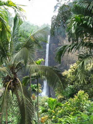... this image include: waterfall, green, nature, tropical and beautiful