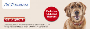 Cheap pet insurance in Ireland
