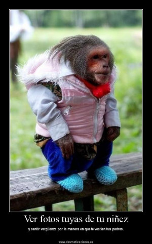 ima gen chistosa con frases imagen chistosa para facebook imagen chis ...