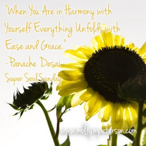 loved this quote from Panache Desai from Oprah's Super Soul Sunday ...