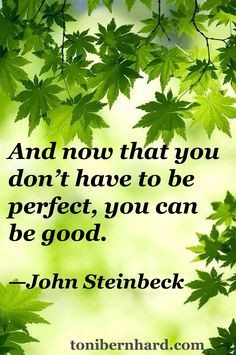 And now that you don't have to be perfect, you can be good.