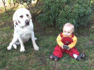 Previous Episode /// Road to the Multiverse \\\ Next Episode