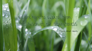 ... here to awaken from the illusion of our separateness quote wallpaper