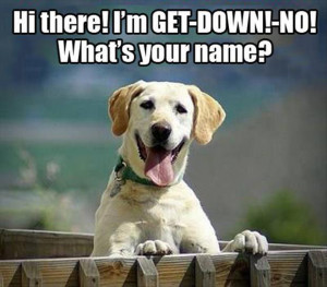 funny dog names