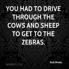 Zebras Quotes