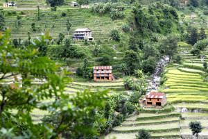 Nepal s lush hills are accented by terraced farming
