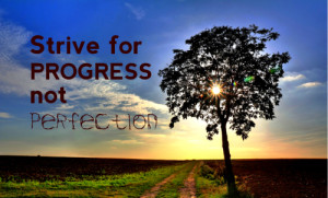 Strive Perfection John F Kennedy Quotes