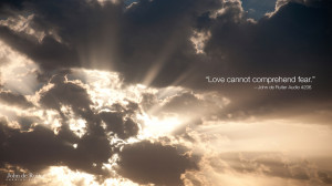 john-de-ruiter-quote-art-wallpaper-love-cannot-comprehend-fear ...