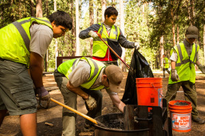 Mobile Tablet Print Wallpaper