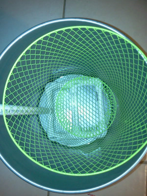 view original image )