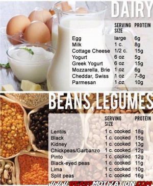 Dairy, Beans, Legumes – Protein table!
