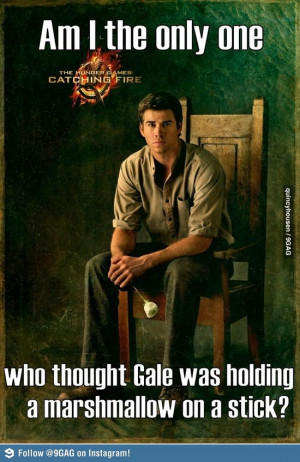 The Hunger Games THG