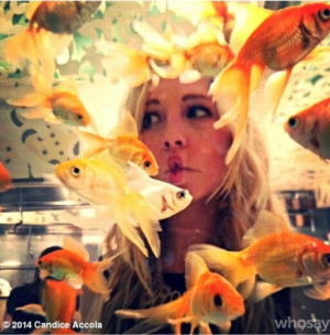 Candice accola