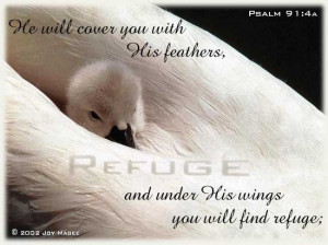... you with his feathers, and under his wings you will find refuge