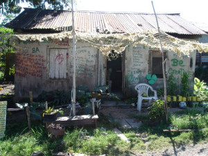 Rastafari Quotes Bible