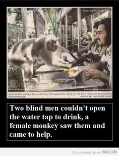 Faith in Humanity Restored. (Um...the men didn't do anything. The ...