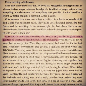 The History of Love is a great book