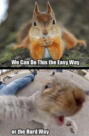 We Can Do This the Easy Way or the Hard Way, funny squirrel photos