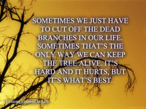 Sometimes we just have to cut off the dead branches in our life ...