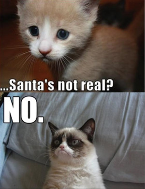 grumpy cat, funny christmas pictures, santa is not real, no