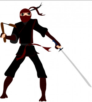 Ninja Assassin Credited
