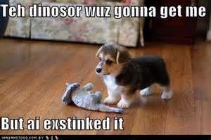 corgi quotes - Bing Images
