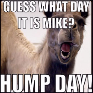 Day quotes quote days of the week wednesday hump day hump day camel ...