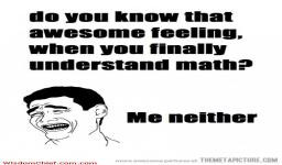You-Know-That-Awesome-Feeling-When-You-Finally-Understand-Math--Funny ...
