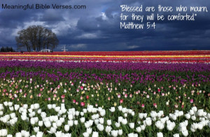 Blessed are those who mourn... Bible verse devotional
