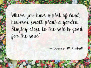 plot-of-land-plant-a-garden-quote