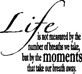 Popular quotes, popular quotes from songs.