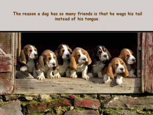 Quotes About Dogs and People