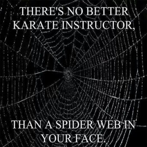 There’s no better Karate instructor than a Spider Web in your face!