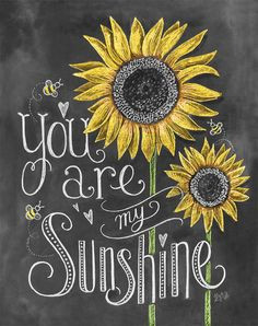 You are my sunshine quotes chalk writing lyrics songs sunflowers ...