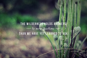 The Wilderness holds answers to more questions than we have yet ...