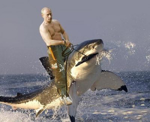 15 ways the Internet is reacting to Vladimir Putin after deal with ...