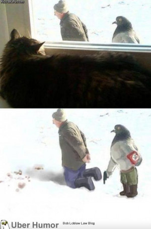 Appearances can be deceiving