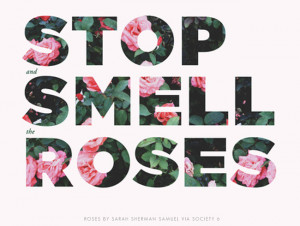 QUOTES : STOP AND SMELL THE ROSES