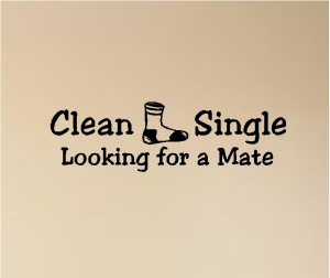 clean single looking for a mate funny laundry quotes wall words decals ...