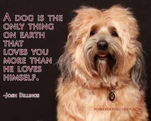 Happy Wednesday Quotes Dogs 3 important life lessons we