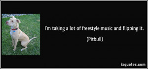 taking a lot of freestyle music and flipping it. - Pitbull